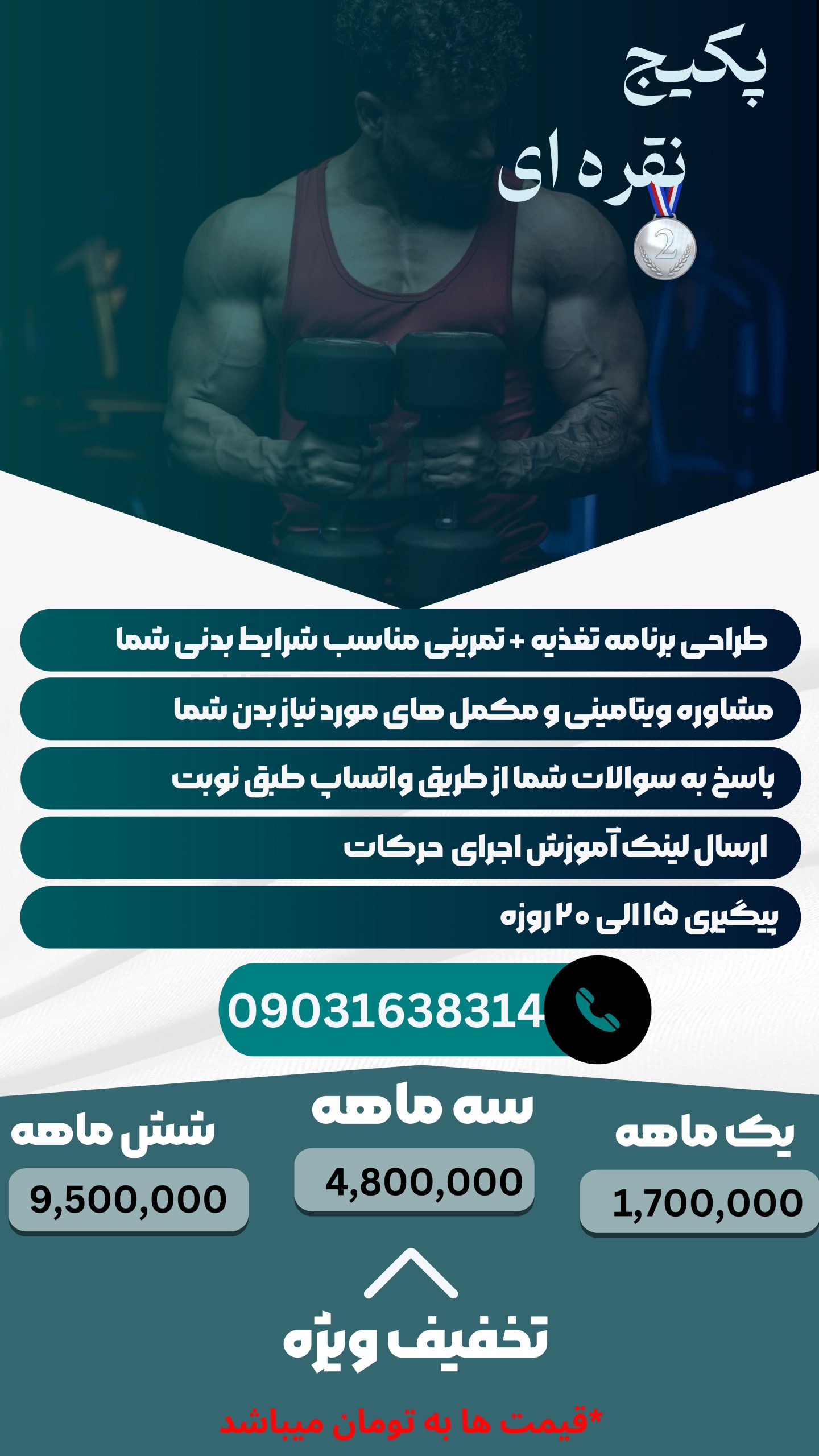 عکس پکیج نقره ای